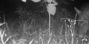 Unveil 8a21a6f614db065bb1ca2c21a5c803aede783f93e5277febbd47f37d9dbae4ca