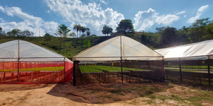 Unveil 8a21a6f614db065bb1ca2c21a5c803aede783f93e5277febbd47f37d9dbae4ca