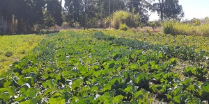 Unveil 8a21a6f614db065bb1ca2c21a5c803aede783f93e5277febbd47f37d9dbae4ca