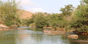 Unveil 8a21a6f614db065bb1ca2c21a5c803aede783f93e5277febbd47f37d9dbae4ca