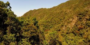 Unveil 8a21a6f614db065bb1ca2c21a5c803aede783f93e5277febbd47f37d9dbae4ca