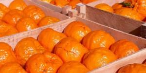 Unveil 8a21a6f614db065bb1ca2c21a5c803aede783f93e5277febbd47f37d9dbae4ca