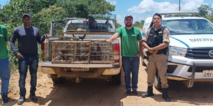 Unveil 8a21a6f614db065bb1ca2c21a5c803aede783f93e5277febbd47f37d9dbae4ca