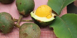 Unveil 8a21a6f614db065bb1ca2c21a5c803aede783f93e5277febbd47f37d9dbae4ca