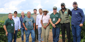 Unveil 8a21a6f614db065bb1ca2c21a5c803aede783f93e5277febbd47f37d9dbae4ca