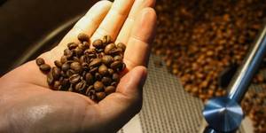 Unveil 8a21a6f614db065bb1ca2c21a5c803aede783f93e5277febbd47f37d9dbae4ca