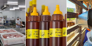 Unveil 8a21a6f614db065bb1ca2c21a5c803aede783f93e5277febbd47f37d9dbae4ca