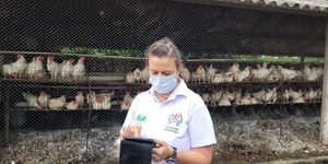 Unveil 8a21a6f614db065bb1ca2c21a5c803aede783f93e5277febbd47f37d9dbae4ca