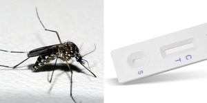 Unveil 8a21a6f614db065bb1ca2c21a5c803aede783f93e5277febbd47f37d9dbae4ca