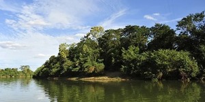 Unveil 8a21a6f614db065bb1ca2c21a5c803aede783f93e5277febbd47f37d9dbae4ca