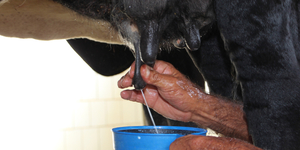 Unveil 8a21a6f614db065bb1ca2c21a5c803aede783f93e5277febbd47f37d9dbae4ca