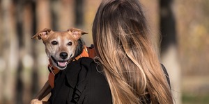 Unveil 8a21a6f614db065bb1ca2c21a5c803aede783f93e5277febbd47f37d9dbae4ca