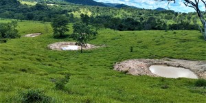 Unveil 8a21a6f614db065bb1ca2c21a5c803aede783f93e5277febbd47f37d9dbae4ca