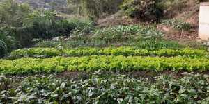 Unveil 8a21a6f614db065bb1ca2c21a5c803aede783f93e5277febbd47f37d9dbae4ca