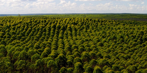 Unveil 8a21a6f614db065bb1ca2c21a5c803aede783f93e5277febbd47f37d9dbae4ca