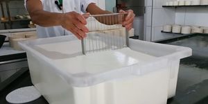 Unveil 8a21a6f614db065bb1ca2c21a5c803aede783f93e5277febbd47f37d9dbae4ca