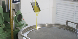 Unveil 8a21a6f614db065bb1ca2c21a5c803aede783f93e5277febbd47f37d9dbae4ca