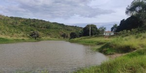 Unveil 8a21a6f614db065bb1ca2c21a5c803aede783f93e5277febbd47f37d9dbae4ca