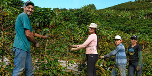 Unveil 8a21a6f614db065bb1ca2c21a5c803aede783f93e5277febbd47f37d9dbae4ca