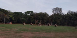 Unveil 8a21a6f614db065bb1ca2c21a5c803aede783f93e5277febbd47f37d9dbae4ca