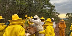 Unveil 8a21a6f614db065bb1ca2c21a5c803aede783f93e5277febbd47f37d9dbae4ca