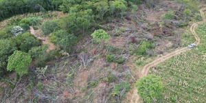 Unveil 8a21a6f614db065bb1ca2c21a5c803aede783f93e5277febbd47f37d9dbae4ca