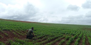 Unveil 8a21a6f614db065bb1ca2c21a5c803aede783f93e5277febbd47f37d9dbae4ca