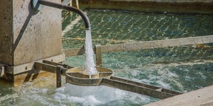 Unveil 8a21a6f614db065bb1ca2c21a5c803aede783f93e5277febbd47f37d9dbae4ca