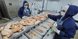 Unveil 8a21a6f614db065bb1ca2c21a5c803aede783f93e5277febbd47f37d9dbae4ca