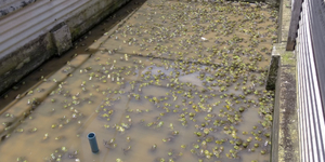 Unveil 8a21a6f614db065bb1ca2c21a5c803aede783f93e5277febbd47f37d9dbae4ca