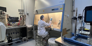 Unveil 8a21a6f614db065bb1ca2c21a5c803aede783f93e5277febbd47f37d9dbae4ca