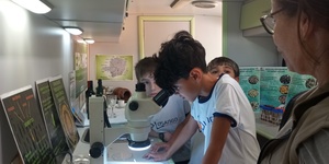 Unveil 8a21a6f614db065bb1ca2c21a5c803aede783f93e5277febbd47f37d9dbae4ca