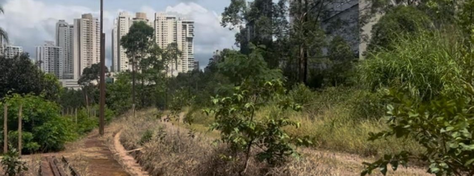 imagem de destaque