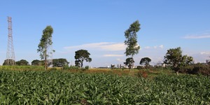 Unveil 8a21a6f614db065bb1ca2c21a5c803aede783f93e5277febbd47f37d9dbae4ca