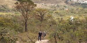 Unveil 8a21a6f614db065bb1ca2c21a5c803aede783f93e5277febbd47f37d9dbae4ca