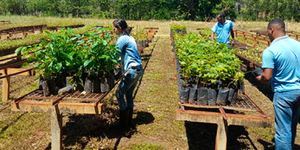 Unveil 8a21a6f614db065bb1ca2c21a5c803aede783f93e5277febbd47f37d9dbae4ca