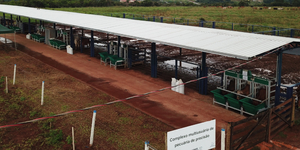 Unveil 8a21a6f614db065bb1ca2c21a5c803aede783f93e5277febbd47f37d9dbae4ca