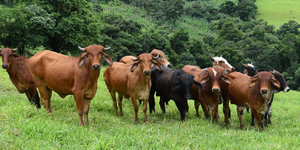 Unveil 8a21a6f614db065bb1ca2c21a5c803aede783f93e5277febbd47f37d9dbae4ca