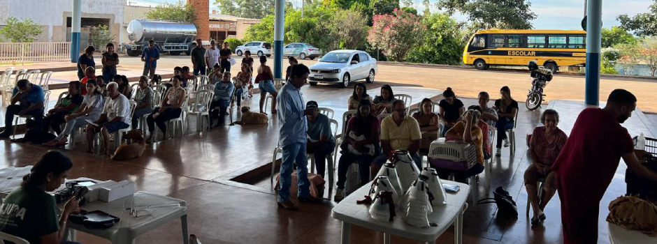 imagem de destaque