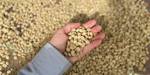 Unveil 8a21a6f614db065bb1ca2c21a5c803aede783f93e5277febbd47f37d9dbae4ca