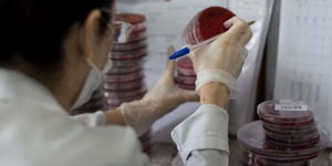 Unveil 8a21a6f614db065bb1ca2c21a5c803aede783f93e5277febbd47f37d9dbae4ca