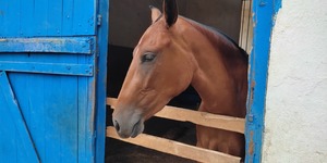 Unveil 8a21a6f614db065bb1ca2c21a5c803aede783f93e5277febbd47f37d9dbae4ca