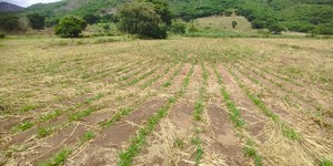 Unveil 8a21a6f614db065bb1ca2c21a5c803aede783f93e5277febbd47f37d9dbae4ca