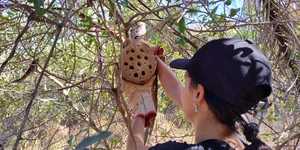 Unveil 8a21a6f614db065bb1ca2c21a5c803aede783f93e5277febbd47f37d9dbae4ca