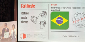 Unveil 8a21a6f614db065bb1ca2c21a5c803aede783f93e5277febbd47f37d9dbae4ca