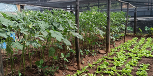 Unveil 8a21a6f614db065bb1ca2c21a5c803aede783f93e5277febbd47f37d9dbae4ca