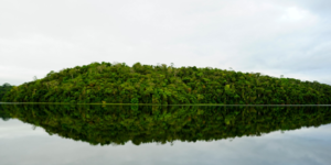 Unveil 8a21a6f614db065bb1ca2c21a5c803aede783f93e5277febbd47f37d9dbae4ca