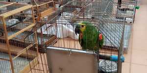 Unveil 8a21a6f614db065bb1ca2c21a5c803aede783f93e5277febbd47f37d9dbae4ca