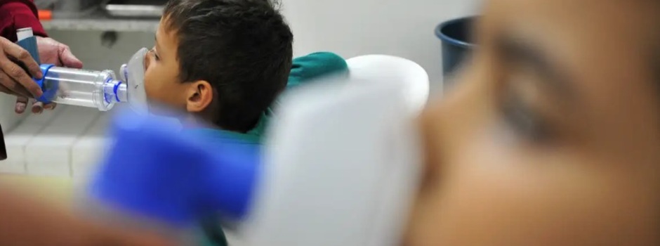 imagem de destaque
