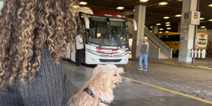 Unveil 8a21a6f614db065bb1ca2c21a5c803aede783f93e5277febbd47f37d9dbae4ca